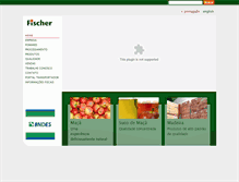 Tablet Screenshot of grupofischer.com.br